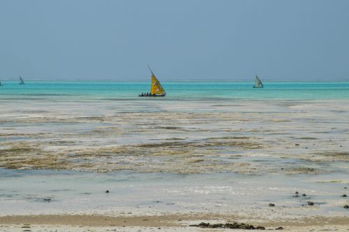 Zanzibaras, Tanzanija, Afrika, Jūra, Vandenynas, Pasaulis, Kelionė