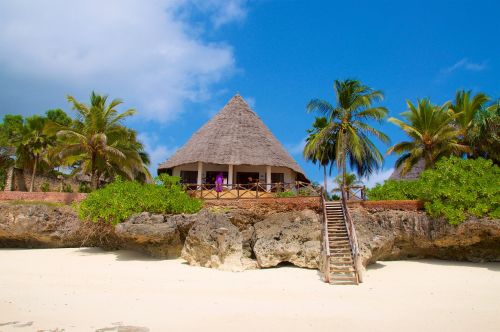 Zanzibaras, Papludimys, Viešbutis, Palmės