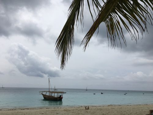 Zanzibaras, Vandenynas, Afrika