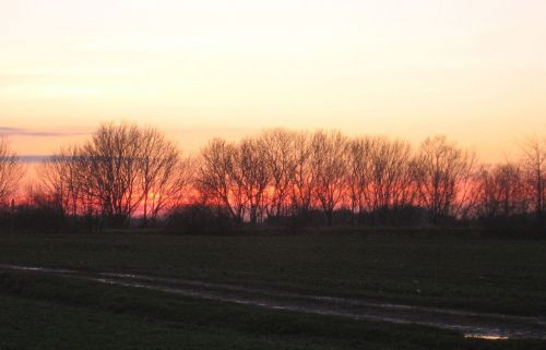 Žiema,  Saulė,  Besileidžianti Saulė