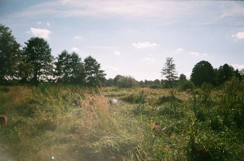 Šveitimas,  Upė,  Lublin,  Vasara,  Lenkija,  Šveitimo Šalia Lublino