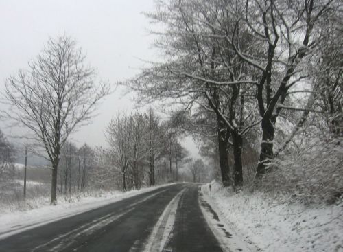 Sniegas,  Keliai,  Medžiai,  Žiema,  Snieguotas Kelias
