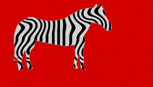Zebra, Tekstūra, Gyvūnas, Laukinė Gamta