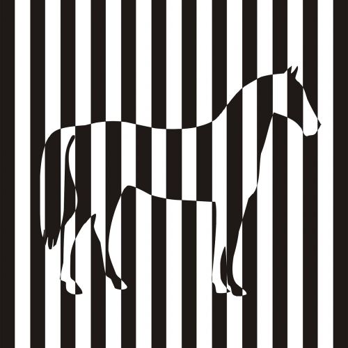 Zebra, Arklys, Vektorinis Gyvūnas