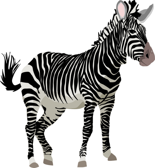 Zebra, Afrika, Gyvūnas, Safari, Zoologijos Sodas, Laukinė Gamta, Nemokama Vektorinė Grafika