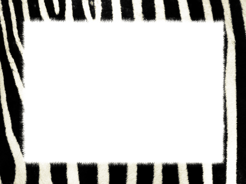 Zebra, Tekstūros Žebras, Gyvūninė Oda, Juostelės, Štampavimas, Oda, Gyvūnas, Modelis