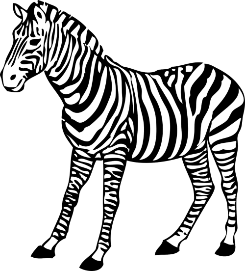 Zebra, Juostelės, Kanopos, Laukinė Gamta, Afrika, Gyvūnas, Nemokama Vektorinė Grafika