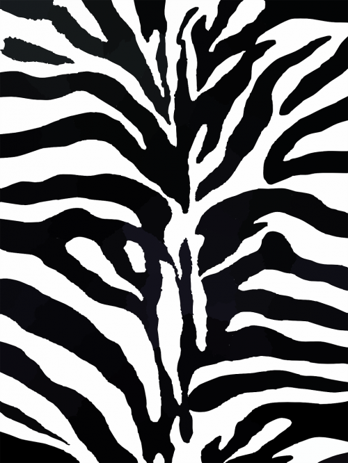 Zebra, Modelis, Dizainas, Tekstūra, Gamta, Spausdinti, Dryžuotas, Juostelės, Mada, Tekstilė, Medžiaga, Fonas, Linijos, Menas, Egzotiškas, Nemokama Vektorinė Grafika