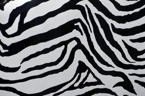 Zebra,  Kamufliažas,  Modelis,  Kailiai,  Nemokama Iliustracijos