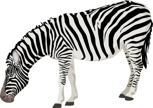 Zebra, Gyvūnas, Žinduolis, Juoda, Balta, Juostelės, Stovintis, Ganymas, Žemė, Laukinė Gamta, Modeliai, Dizainai, Nemokama Vektorinė Grafika