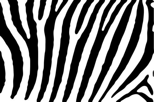 Zebra, Oda, Modelis, Juostelės, Juoda, Balta, Gamta, Dryžuotas, Dizainas, Spausdinti, Tapetai, Fonas, Popierius, Scrapbooking, Menas
