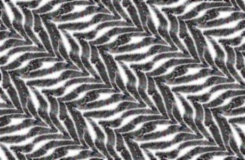 Zebra,  Modelis,  Kailis,  Dryžuotas,  Fonas,  Tekstūra,  Zebras Kailio Fonas