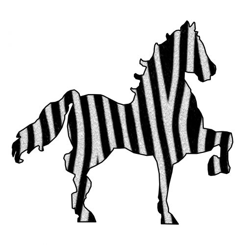 Piešimas,  Arklys,  Zebra,  Modelis,  Gyvūnas,  Siluetas,  Izoliuotas,  Balta,  Fonas,  Naminis Gyvūnėlis,  Figūra,  Zebras Arklys