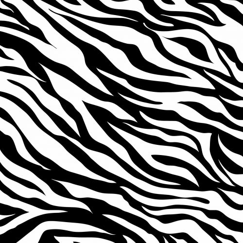 Zebra,  Zebra & Nbsp,  Oda,  Gyvūnas,  Oda,  Slėpti,  Spausdinti,  Modelis,  Fonas,  Tapetai,  Popierius,  Fonas,  Juoda,  Balta,  Iliustracija,  Scrapbooking,  Laisvas,  Viešasis & Nbsp,  Domenas,  Zebra Odos Modelis Spausdinti
