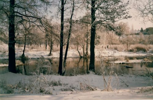 Žiema,  Lublin,  Žiemą 2004 M