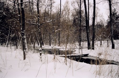 Žiema,  Medis,  Upė,  Lublin,  Lenkija,  Žiemos Nuotrauka Šalia Lublino