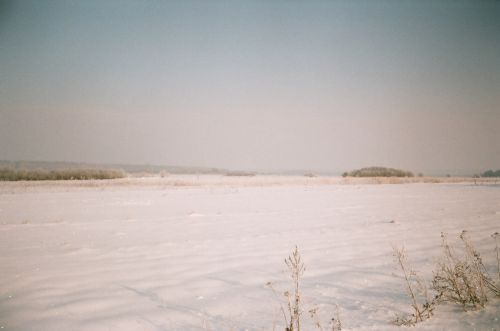 Žiema,  Lublin,  Lenkija,  Žiemos Nuotrauka Dabrowa Annop.