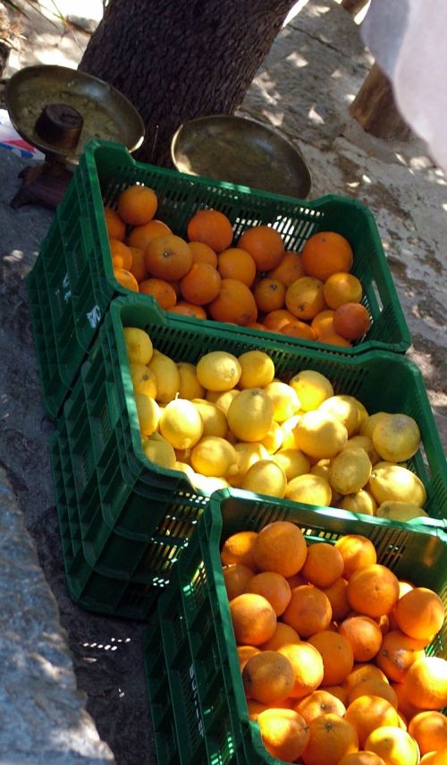Citrinos,  Apelsinai,  Dėžės,  Žalias,  Pardavimai,  Kelyje,  Citrusiniai Vaisiai