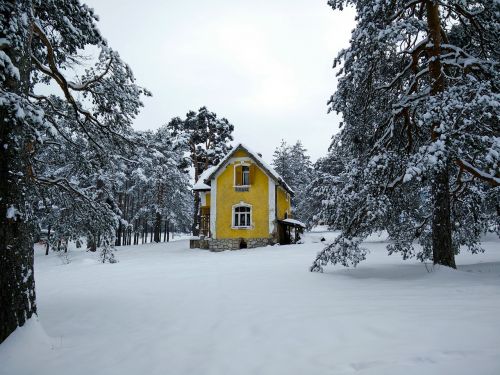 Zlatibor, Kalnas, Geltonoji Namas, Namas, Medžiai, Sniegas, Žiema, Serbija