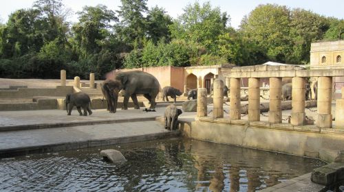 Zoologijos Sodas Hanoveris, Džiunglių Rūmai, Nuotykių Zoologijos Sodas, Žemutinė Saksonija