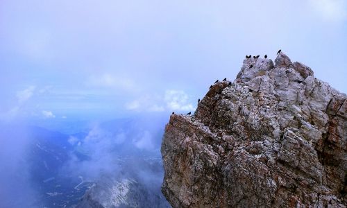 Zugspitze, Rokas, Paukščiai, Alpinizmas, Žygiai, Aukščiausiojo Lygio Susitikimas, Alpių, Aukštis, Kalnai, Vaizdas, Šventė
